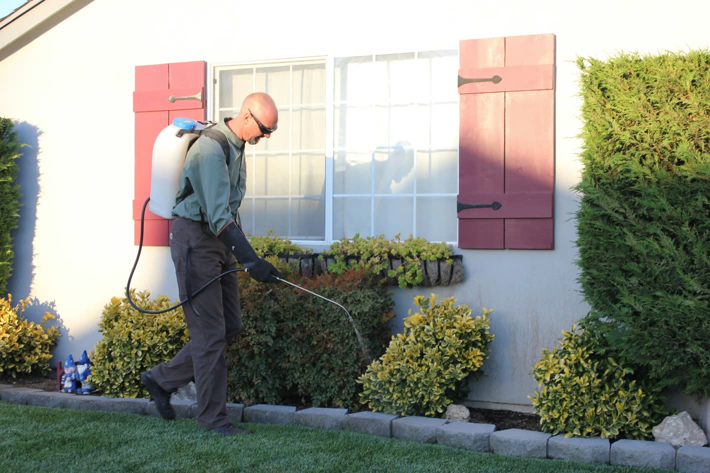 Pest control